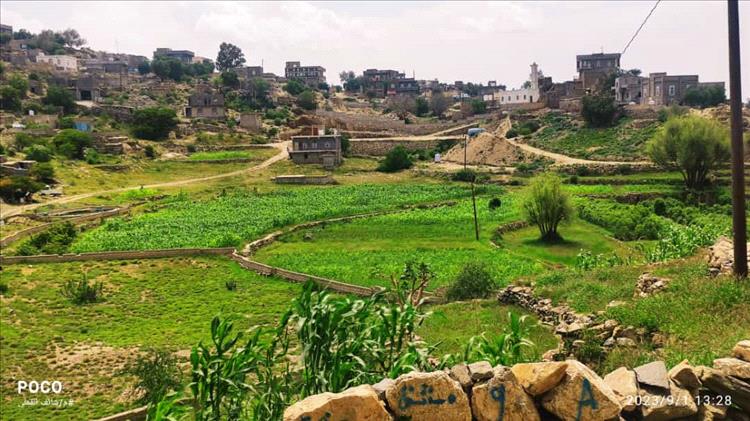 حديث الصورة - خريف خربج