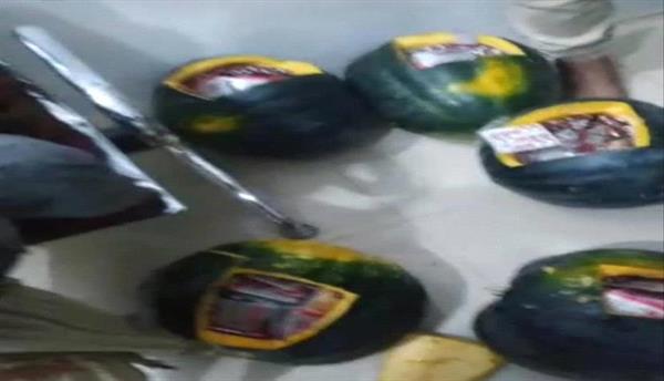 الحدود اليمنية السعودية.. مقبرةٌ لطموحات الحوثيين في تهريب المخدرات