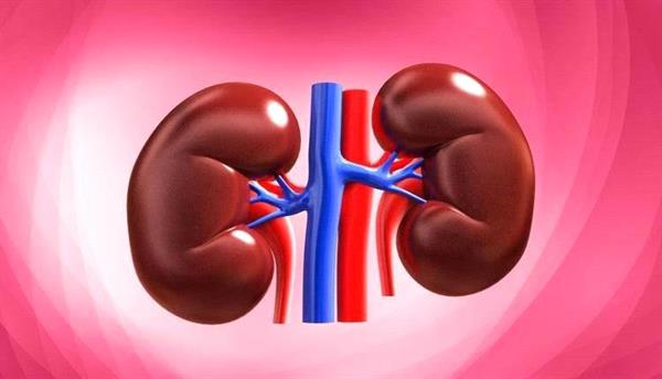 تعرف على أسهل الطرق لتحافظ على كليتيك
