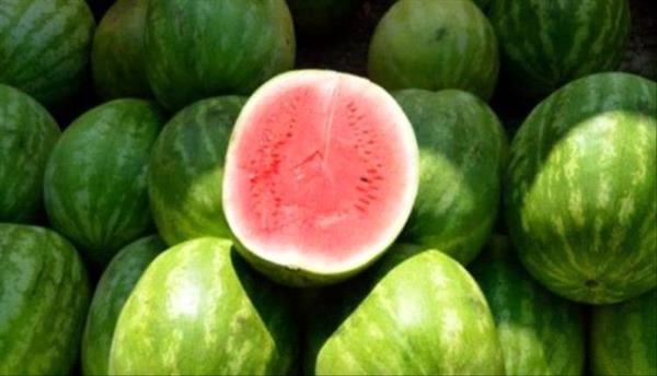 حقيقة انتشار بطيخ مسرطن بمختلف الأسواق المصرية