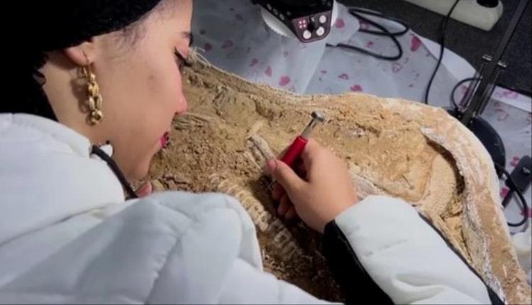 بصخور عمرها 41 مليون عام.. حفرية "أصغر حوت" المصرية إلى "غينيس"