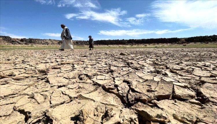 وزير المياه: اليمن تفقد 5% من أراضيها الزراعية سنوياً بسبب التغيرات المناخية والنزاع