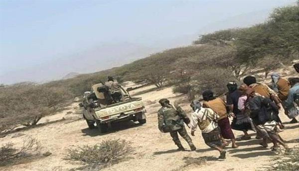 بقيادة حمدي شكري..  حملة أمنية في الصبيحة بلحج