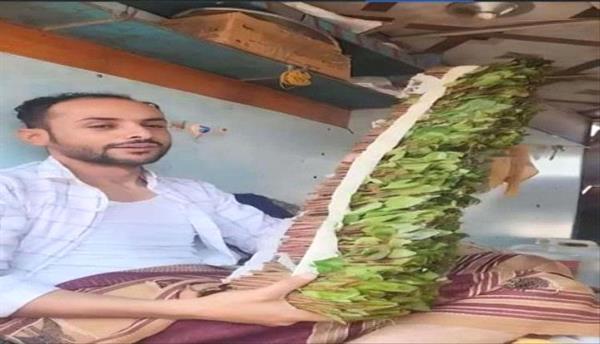 حبة قات" تقتل شابا في محافظة أبين