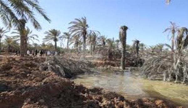ارتفاع غير مسبوق للمياه الجوفية يثير القلق غرب ليبيا
