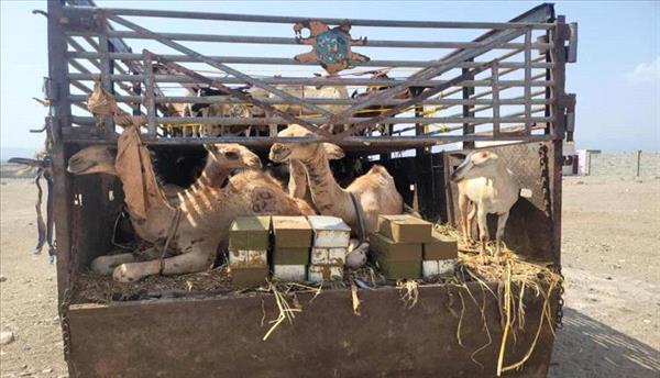 ضبط هذا الامر الخطير الليلة
