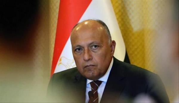 شكري وباقري كني يبحثان سبل التوصل إلى هدنة في غزة