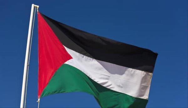 تضامنا مع غزة.. شقيقان في السويد ينتجان مشروبا غازيا جديدا باسم "الغالية فلسطين كولا"