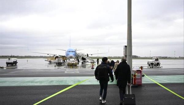 الأمن التركي يعتقل خبيرا أمريكيا حاول تهريب عناكب وعقارب عبر مطار إسطنبول