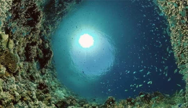 14190b7a dda8 46a9 9e86 ef1deaac2ffb