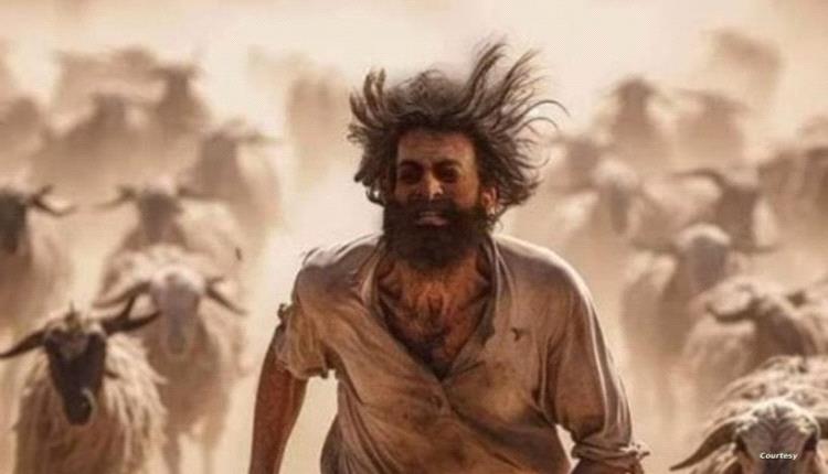 "حياة الماعز" و"الماذاعنية" بالسعودية.. تعليق حقوقي على الفيلم الجدلي

