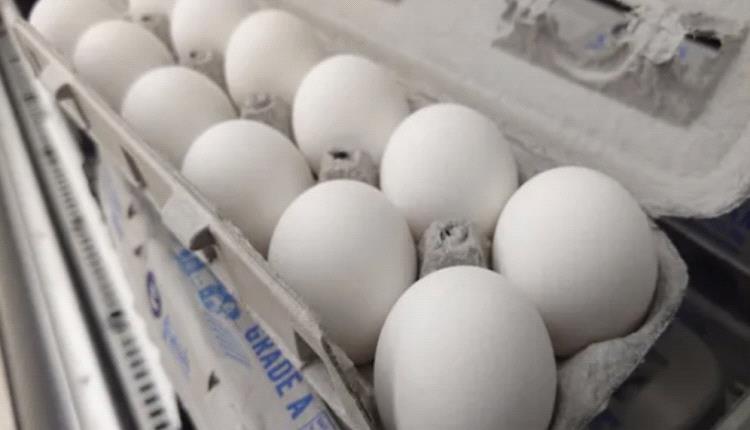 انخفاض أسعار البيض في أمريكا بعد أزمة إنفلونزا الطيور
