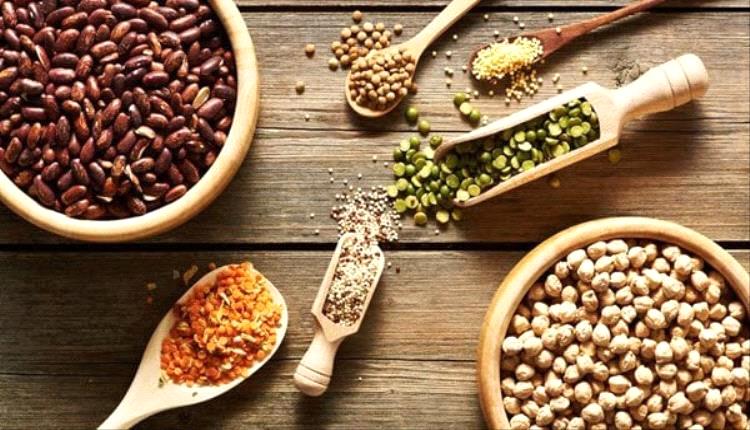 10 أطعمة نباتية غنية بالبروتين
