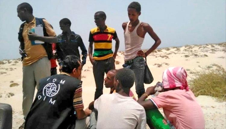 مأساة في عرض البحر.. سبعة مهاجرين إثيوبيين يموتون عطشًا قبالة سواحل شبوة