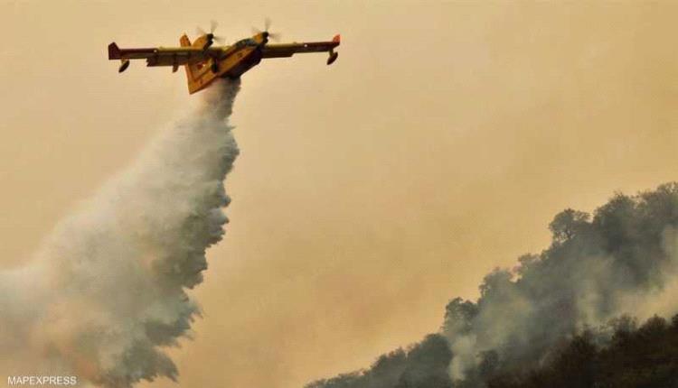 المغرب.. جهود مكثفة ومستمرة للسيطرة على "حريق شفشاون"