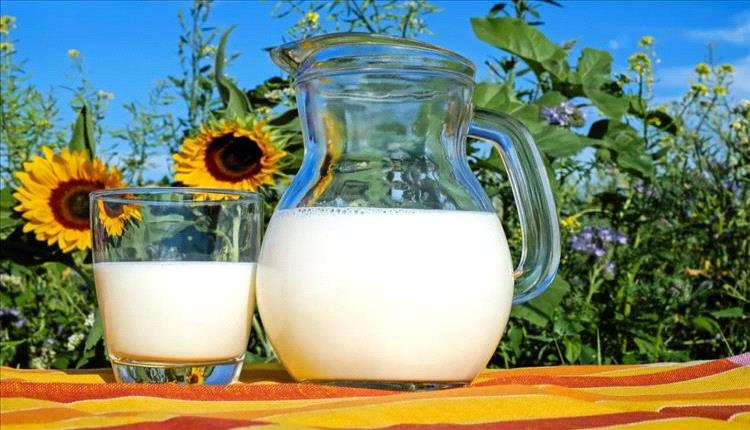 17 غذاءً بروتينياً لبناء العضلات وتسريع التعافي للرياضيين