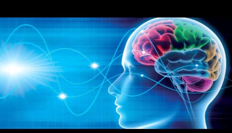 اكتشاف مفتاح إعادة ترتيب الذكريات في الدماغ
