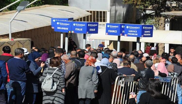 أزمة دبلوماسية تخفض تأشيرات فرنسا في الجزائر
