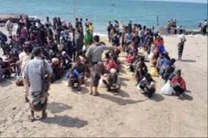 شبوة.. ضبط قارب يحمل 70 مهاجرًا غير شرعي
