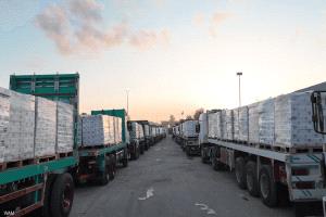 دخول 214 شاحنة مساعدات إماراتية إلى قطاع غزة منذ فتح المعابر