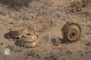 مسام يعلن نجاحه في نزع نصف مليون لغم وذخيرة غير متفجرة منذ بدء عمله في اليمن 