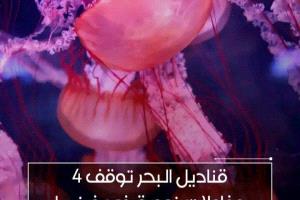 قناديل البحر تتسبب بإيقاف أربعة مفاعلات نووية في فرنسا
 
