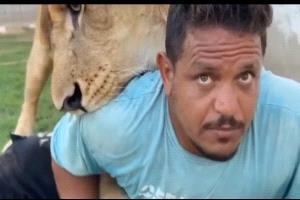 ليبيا.. حبس صاحب مزرعة أطلق أسده على عامل مصري