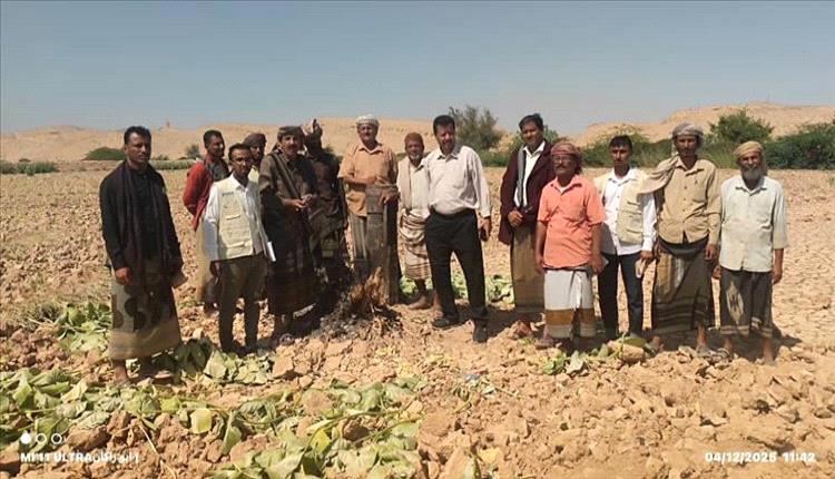 مديرية رضوم تطلق مشروع الطاقة الشمسية لتعزيز الزراعة وخدمة 200 أسرة