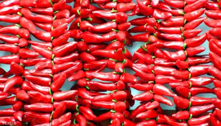 الفلفل الحار وضغط الدم.. "لغز صحي" كشفه العلماء