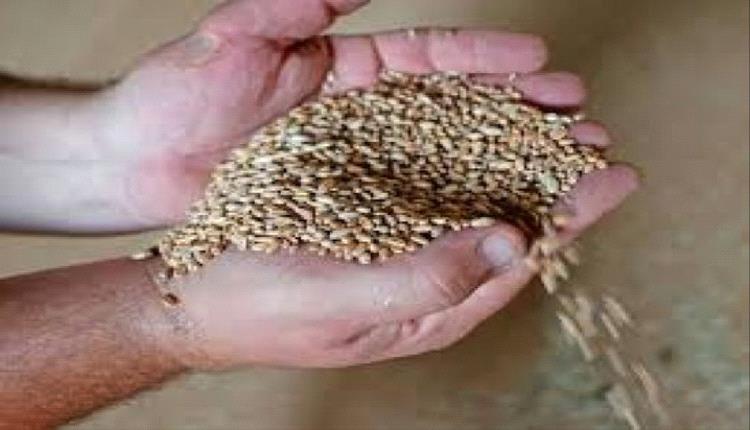 الحرب تعصف بالاقتصاد: شركة أوكرانية للحبوب تعلق نتائجها المالية بعد تدمير وثائقها