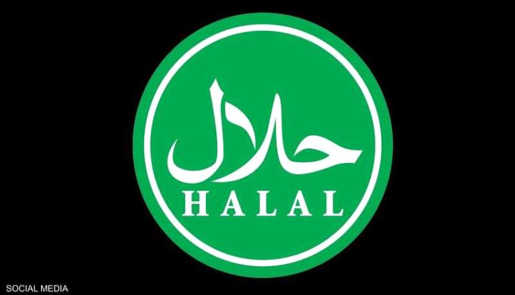 الإخوان و"بيزنس الحلال".. محفظة التنظيم المالية التي لا تنضب