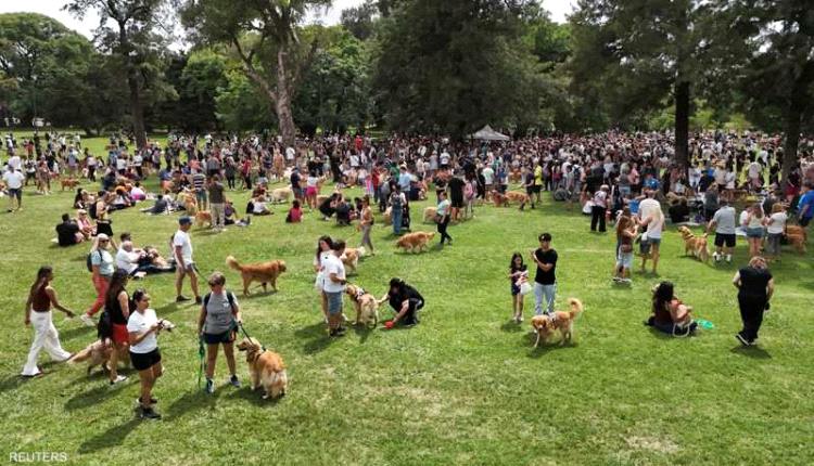 دراسة تكشف سرا مثيرا عن علاقة البشر بالكلاب: الميكروبيوم