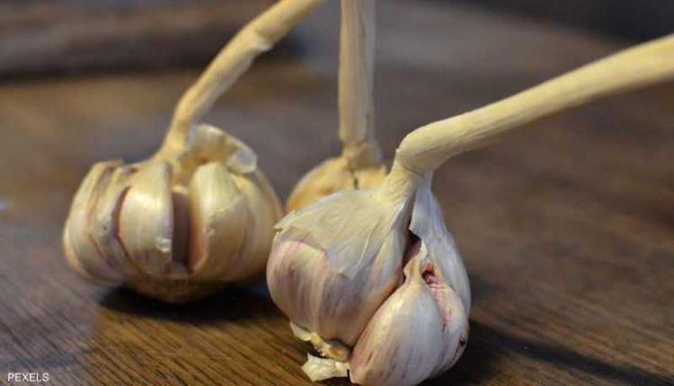 التهابات وأمراض مزمنة.. يشفيها الثوم طبيعيا