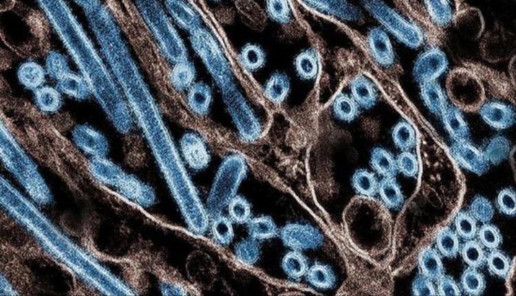 يقرع أجراس الشتاء في لبنان