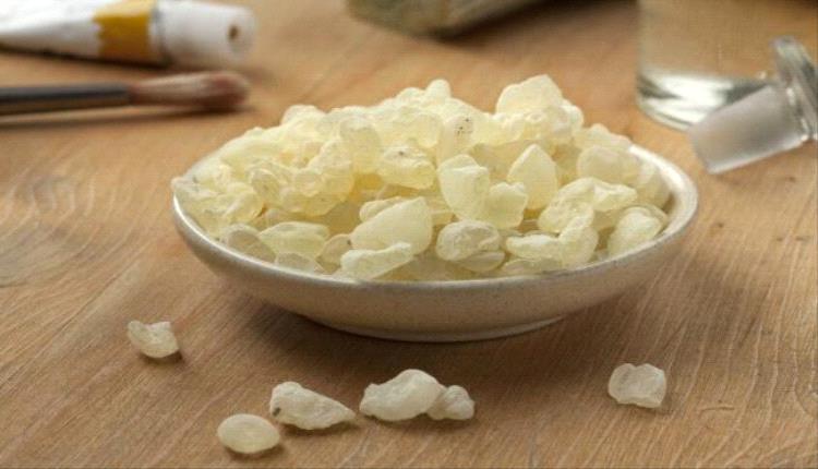 المستكة.. العلكة الطبيعية التي تدعم الهضم وصحة الفم يومياً