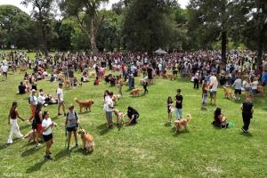 دراسة تكشف سرا مثيرا عن علاقة البشر بالكلاب: الميكروبيوم