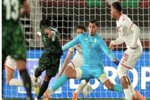 تونس تسقط أمام نيجيريا بكأس الأمم الأفريقية
