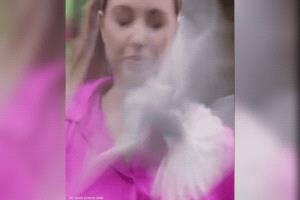 طائر يصطدم بوجه مراسلة تلفزيونية على الهواء