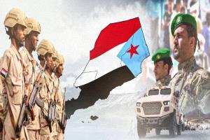 القاسمي: إدارة الجنوب العسكري ضرورة وطنية وحملات الإعلام المعادي محاولة لتقسيمه