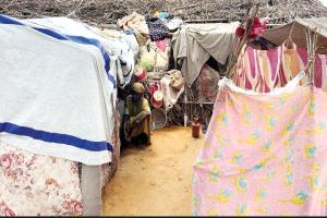 المتحدثة باسم برنامج الأغذية العالمي لـ «الاتحاد» ملايين السودانيين بحاجة ملحة إلى دعم عاجل