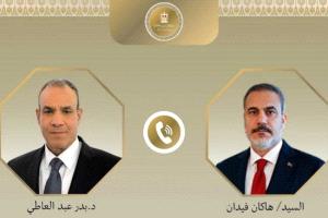 مصر وتركيا تتفقان على تعزيز التعاون المشترك وتثبيت السلام في غزة
