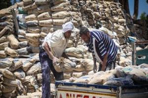 ثبات أسعار الأسمنت يعكس توازن السوق وقوة التصدير