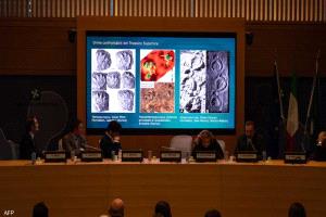 "الأكبر في العالم".. اكتشاف آثار لأقدام ديناصورات في إيطاليا