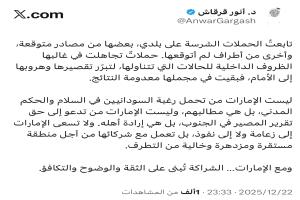 قرقاش: السلام وتقرير المصير إرادة الشعوب لا أجندة الإمارات