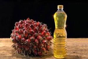 هبوط زيت النخيل الماليزي لأدنى مستوى في 3 أسابيع
