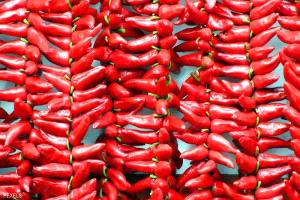 الفلفل الحار وضغط الدم.. "لغز صحي" كشفه العلماء