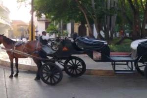 كارتاخينا تستبدل عربات الخيول بالسيارات الكهربائية