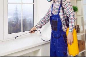 وفاة رضيع بعد استخدام سلاح كيميائي لمكافحة الحشرات بمنزل تركي