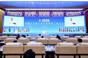 الإمارات ترتقي بحماية التراث الإنساني عبر التعاون الإقليمي والدولي