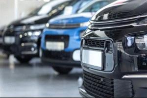 مصر.. ارتفاع تراخيص السيارات الجديدة 50% في 2025 #عاجل